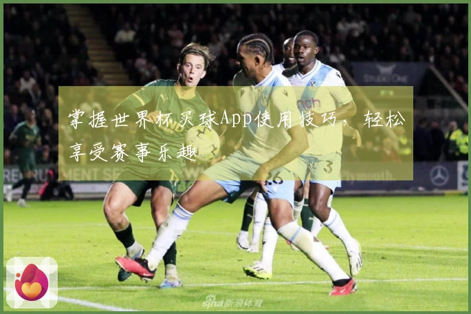 掌握世界杯买球App使用技巧，轻松享受赛事乐趣