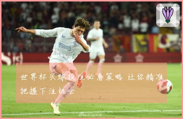 世界杯买球投注必看策略 让你精准把握下注机会