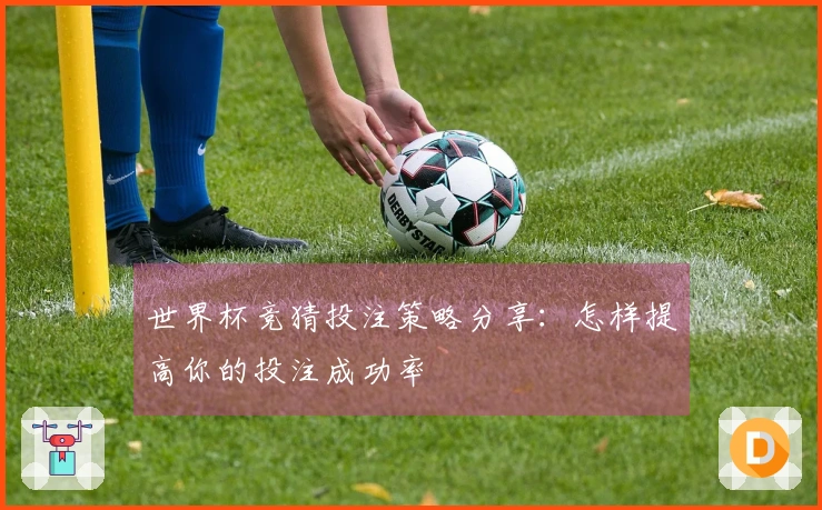 世界杯竞猜投注策略分享：怎样提高你的投注成功率