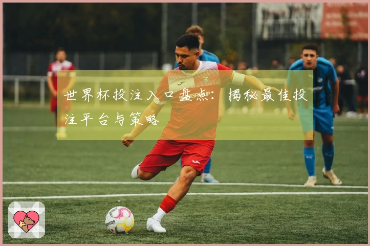 世界杯投注入口盘点：揭秘最佳投注平台与策略